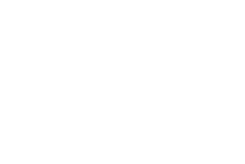 Bi8 Fungi